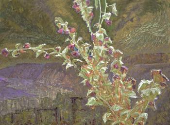 ������� ������� ������