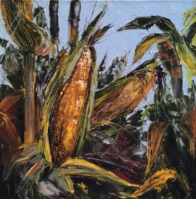 Corn (Cereals). Akinshina Anastasia