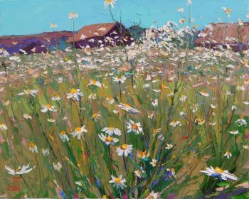 The Village Romashkovo