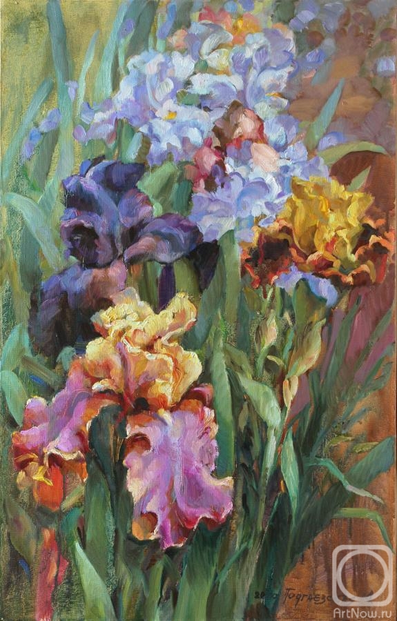 Podgaevskaya Marina. Garden irises
