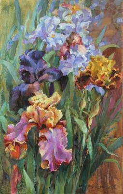 Podgaevskaya Marina . Garden irises