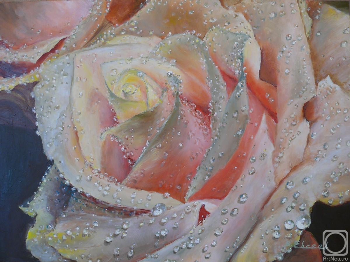 ������� ������ �� ������. ������ �������. ������ �������