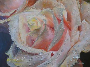 ������� ������� �������