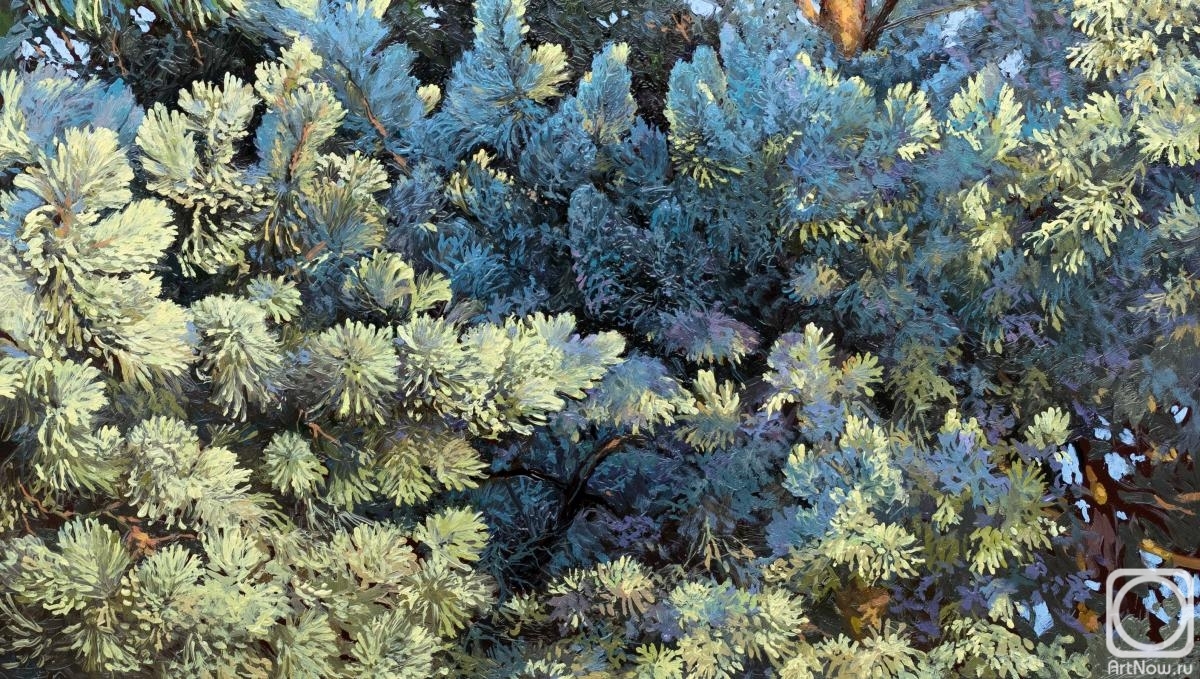 �������. ������� ����. ������ �������� �����