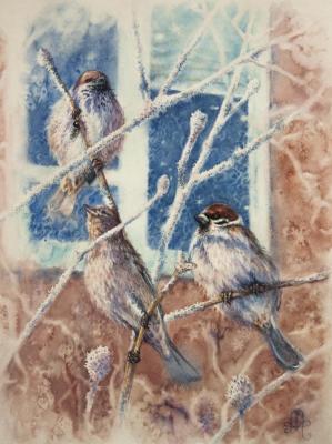 Sparrows. Abramova Anna