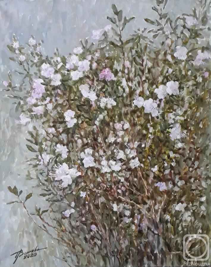 ������� ������ �� ������. ������� �������. ���������