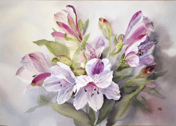 ������������. �������� �����