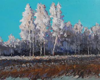 The morning after the fog