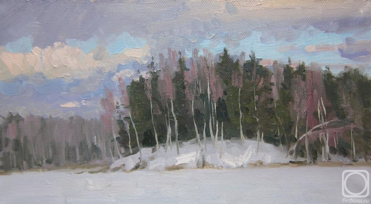 Chertov Sergey. Winter evening. Forest Lake