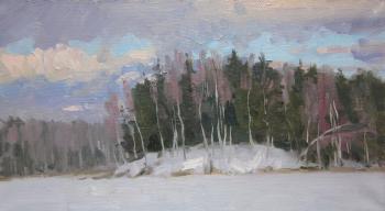 Winter evening. Forest Lake