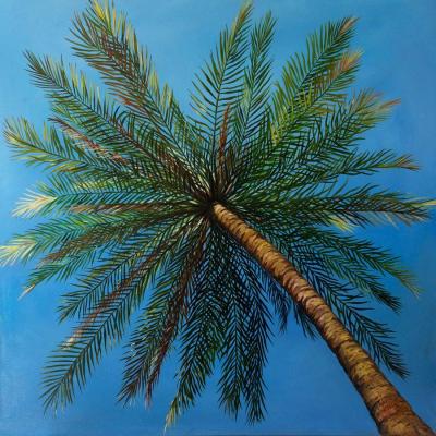 ������� ������� � ��������� ��������