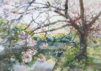 ������. �����. ����� ���������