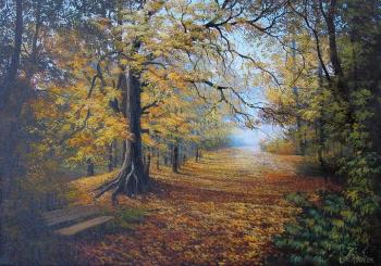 ������� �44 ������ ����