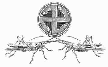 ������� ��������. �������� �������