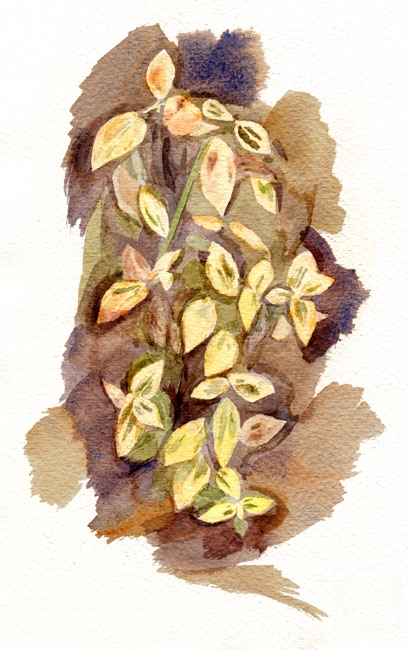 �������. ������� ����. �����