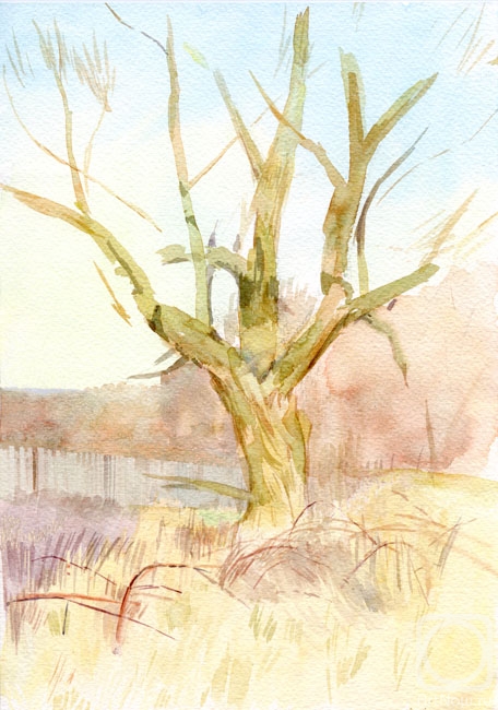 �������. ������� ����. ������