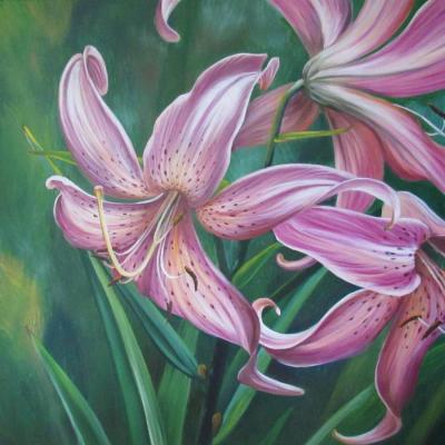 Lily. Izotova Marina