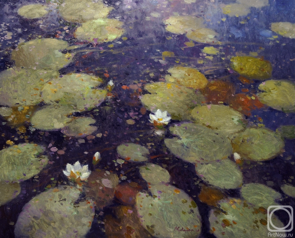 Savchenko Aleksey. Water lilies