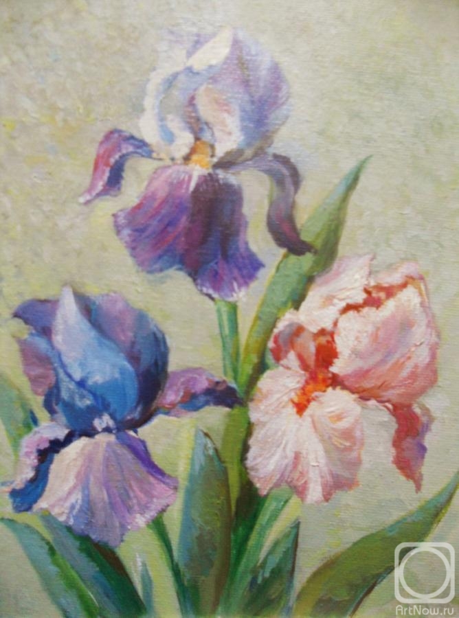 Egorova Oksana. Irises