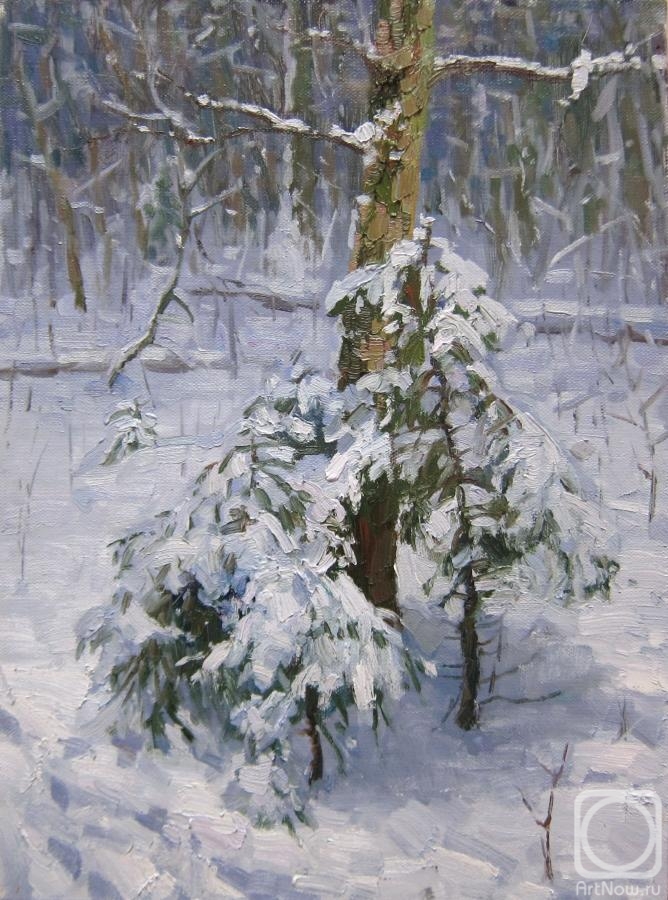 Chertov Sergey. A Christmas tree was born in the forest