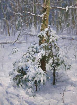 A Christmas tree was born in the forest. Chertov Sergey