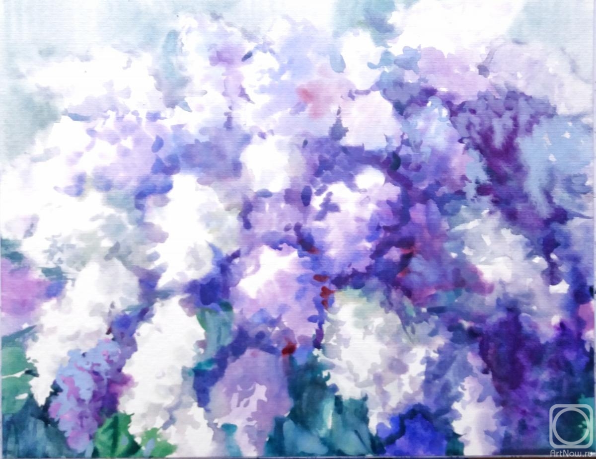 �������. ���������� ���������. ������. ����