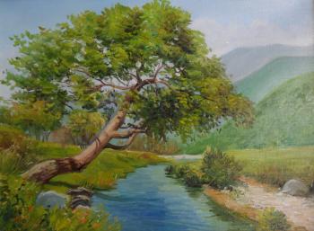 Tree by the river. Chernyshev Andrei