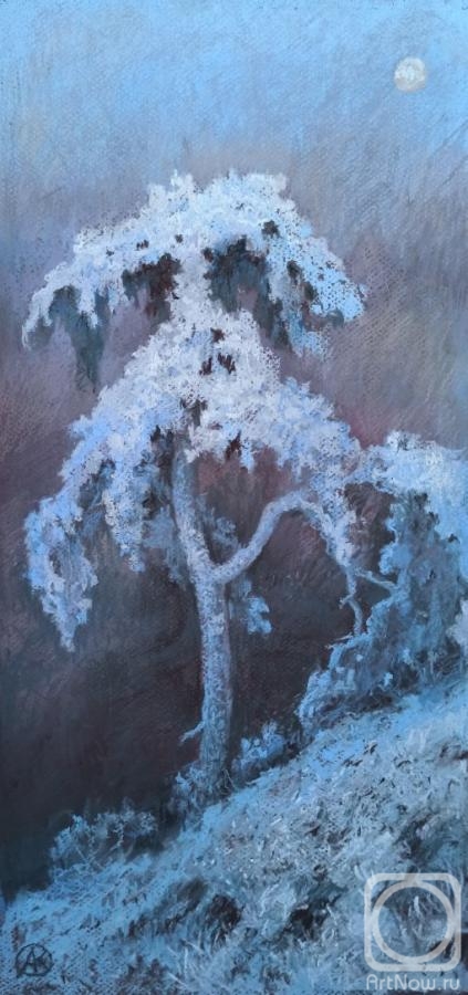 �������. �������� �����. ������ ����