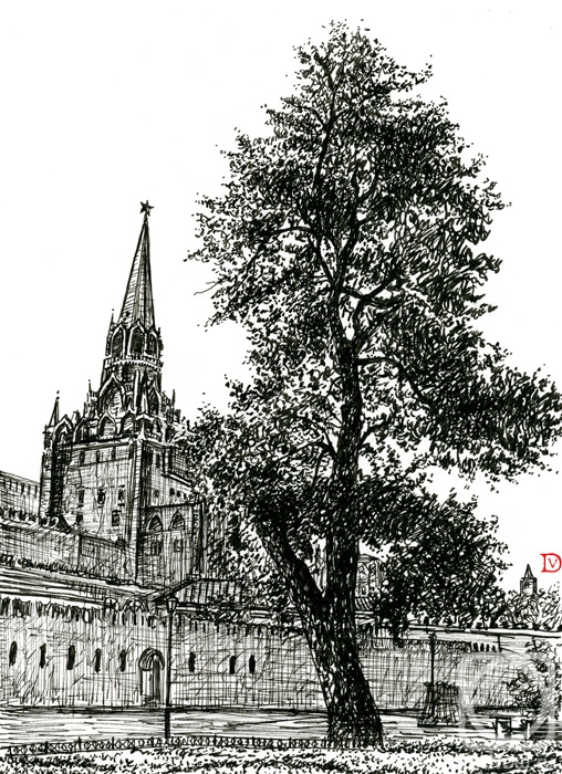 �������. ������ �������. �������������� ���. �����