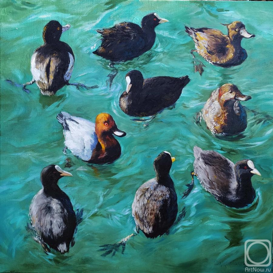 Simonova Olga. Sea ducks