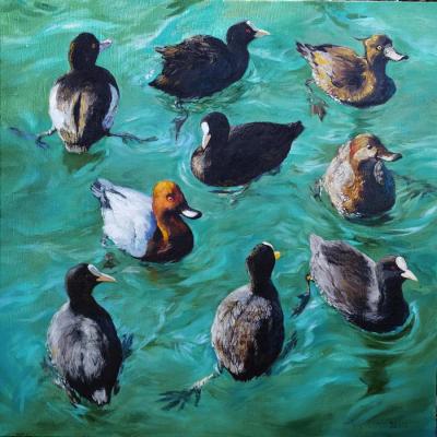 Sea ducks (Seabirds). Simonova Olga