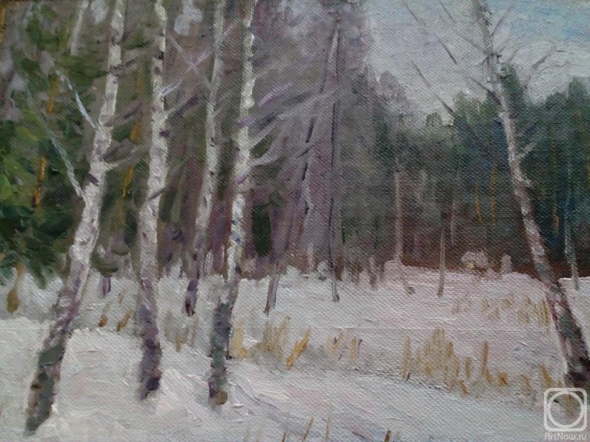 Popov Sergey. At the forest edge