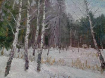 At the forest edge. Popov Sergey