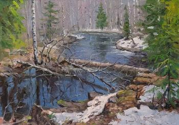 River in the forest, thaw. Volya Alexander