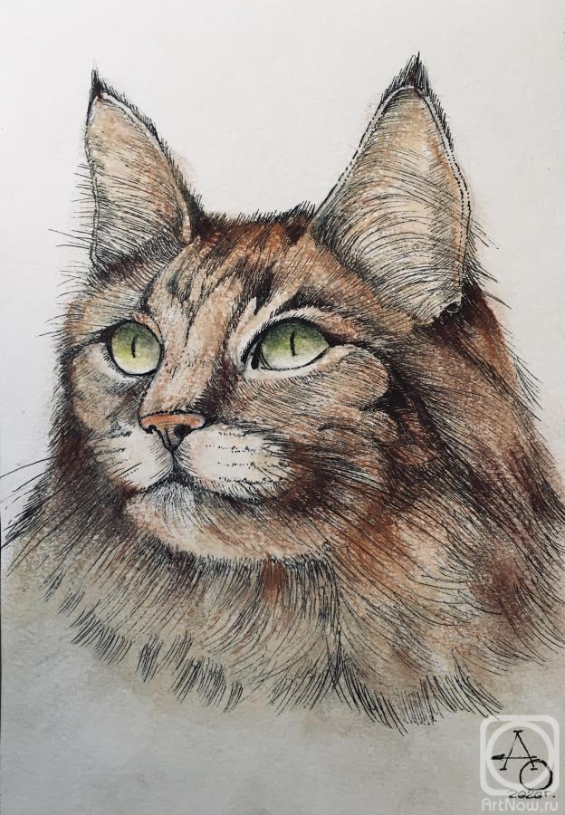 Orlov Andrey. Cat (portrait)