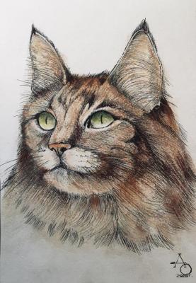 Cat (portrait). Orlov Andrey