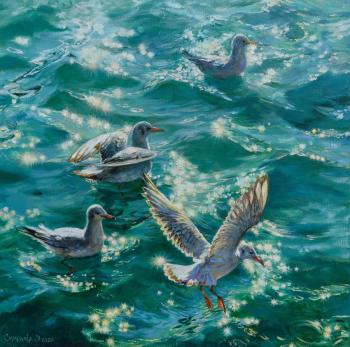 Seagulls (Sun Glar). Simonova Olga