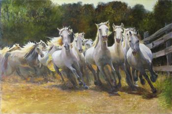 White herd (Herd Of Horses). Popova Irina