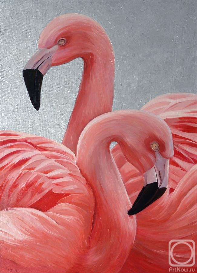Vestnikova Ekaterina. Flamingo