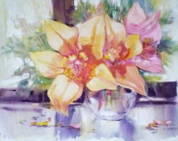 �������. ���������� ���������