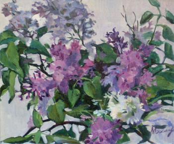 ������� ��������