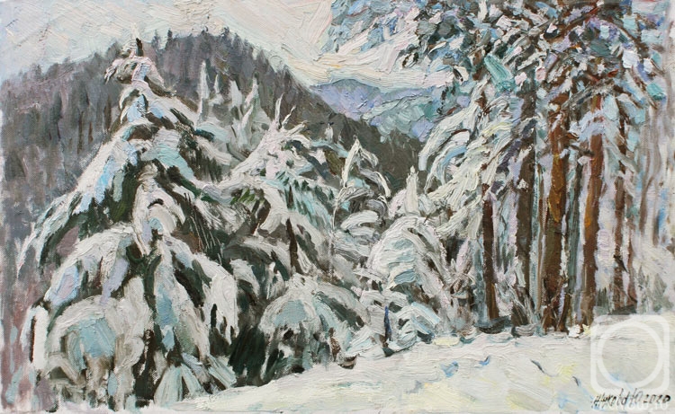 Zhukova Juliya. In the snowy forest