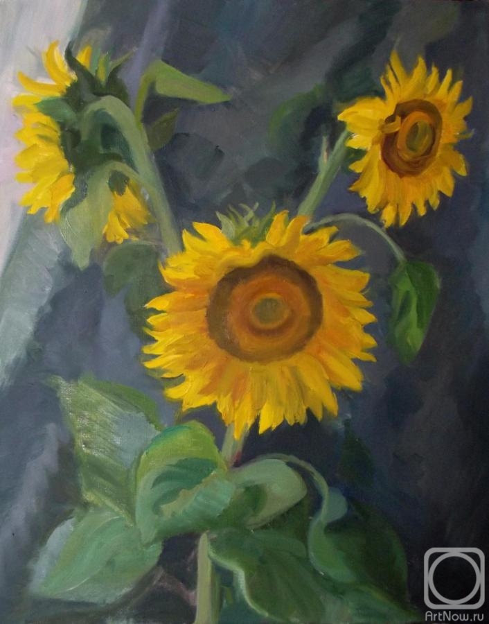 Tsebenko Natalia. Study with sunflowers