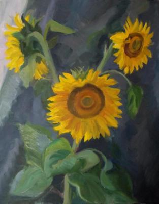 Study with sunflowers