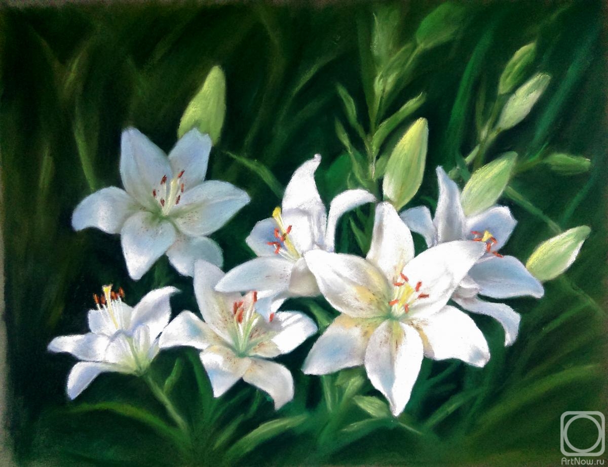 Juravok Weronika. White lilies