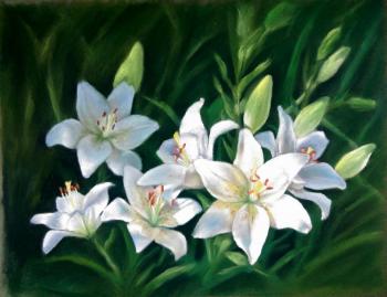 White lilies. Juravok Weronika