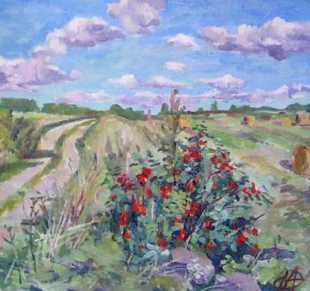 ������� ������ ���������