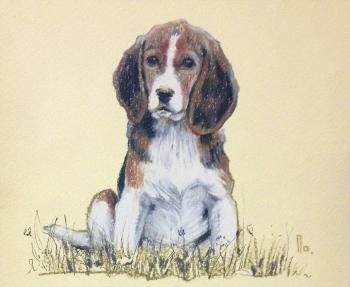 Beagle (Hunting Paintings). Kutler Kira