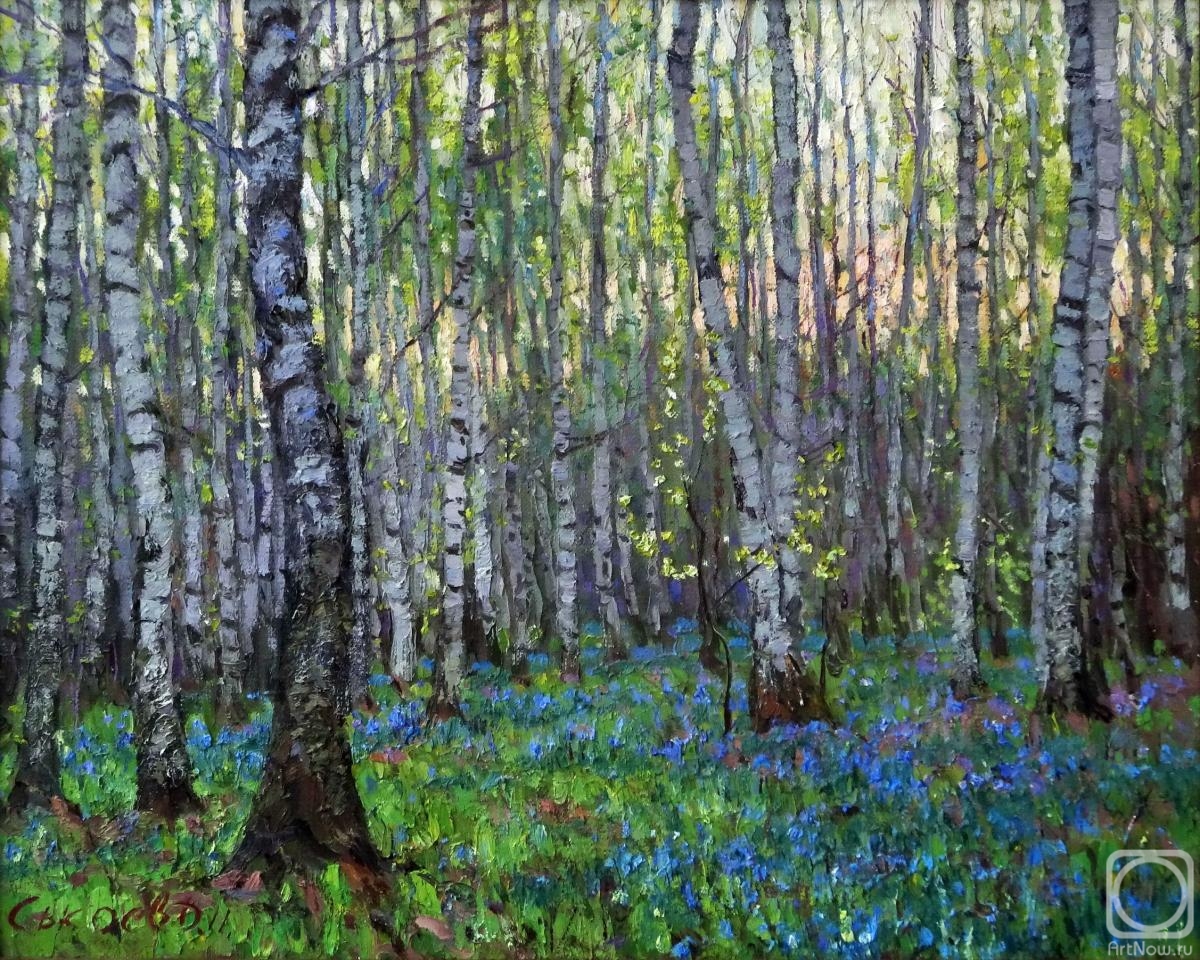 Sisoev Dmitriy. Snowdrops