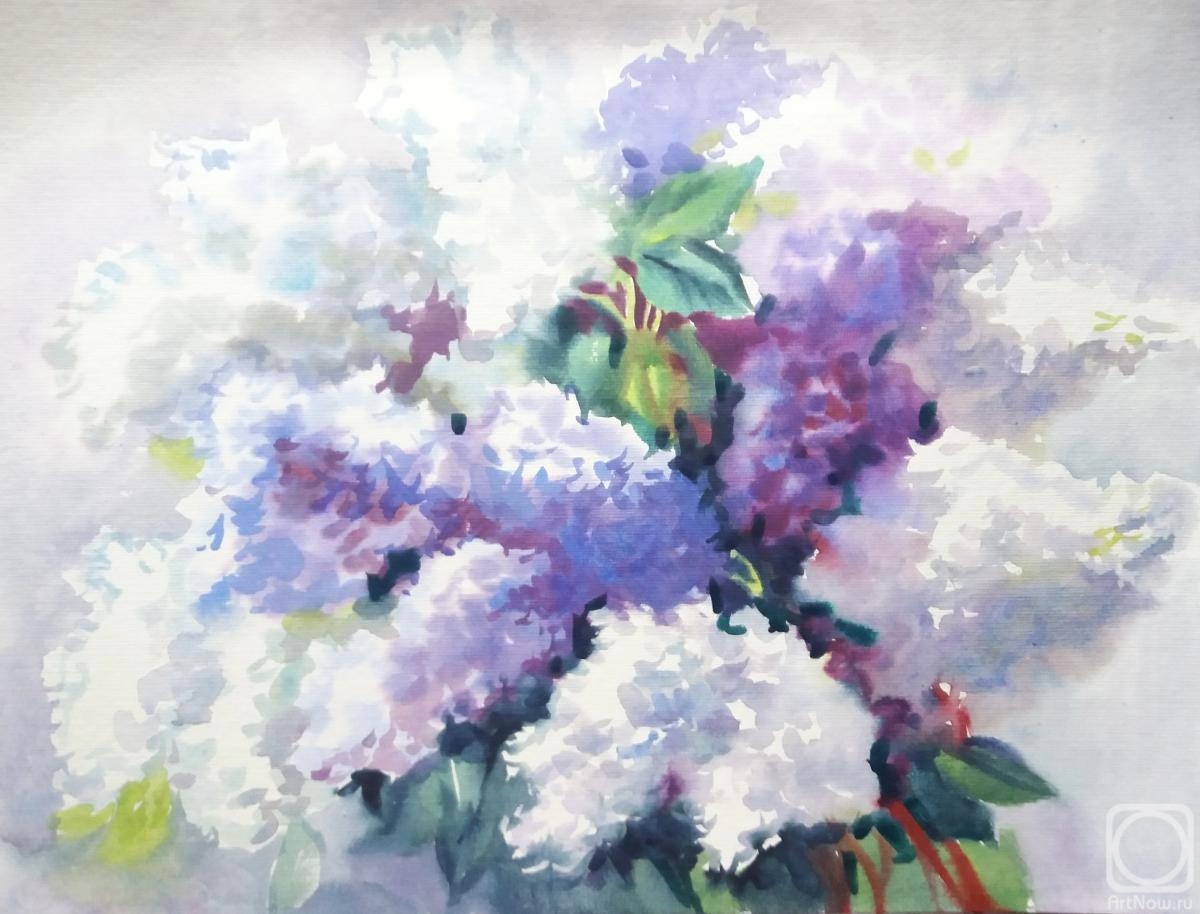 �������. ���������� ���������. ������